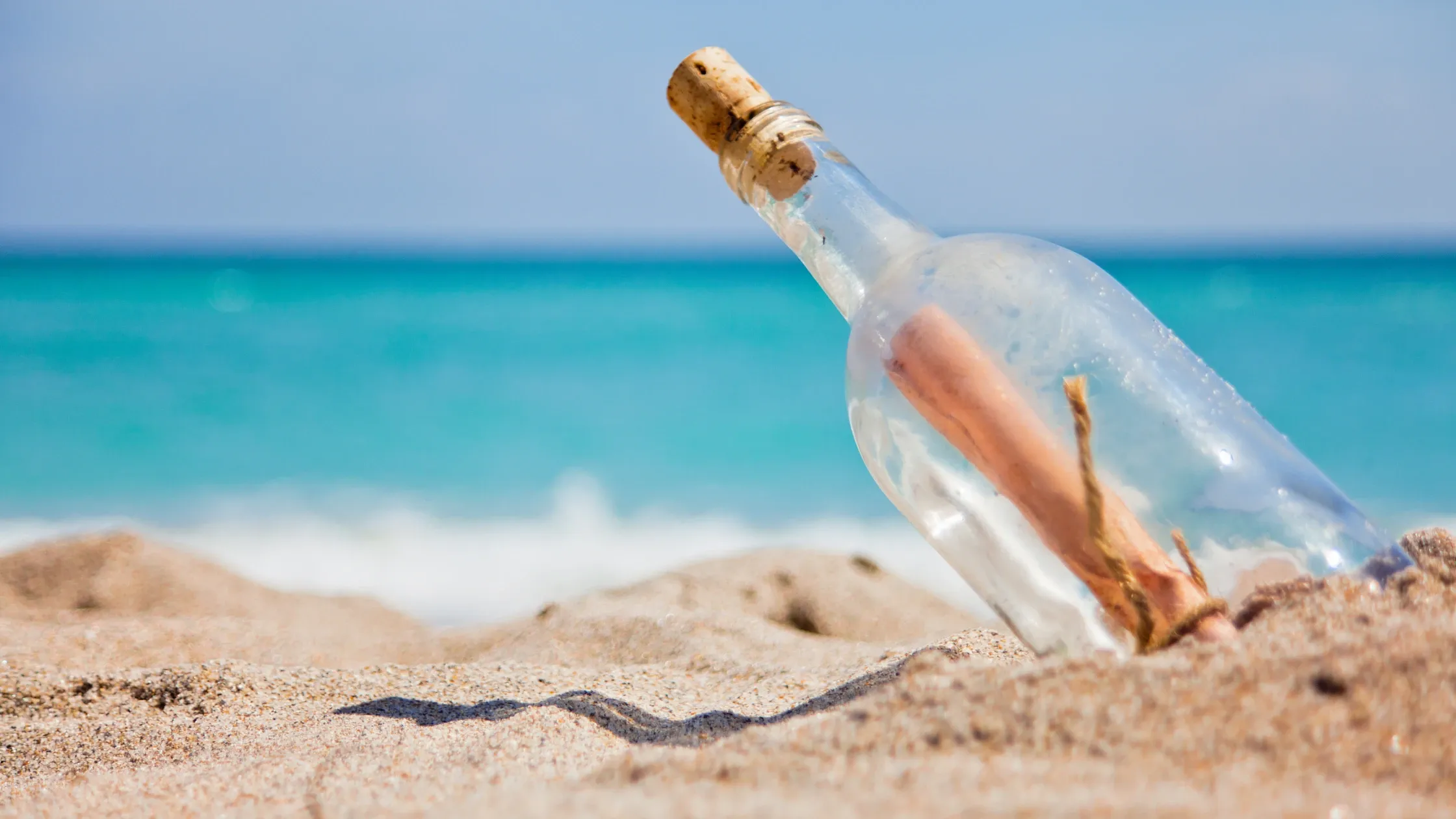 Professional therapy practice environment promoting healing and growth