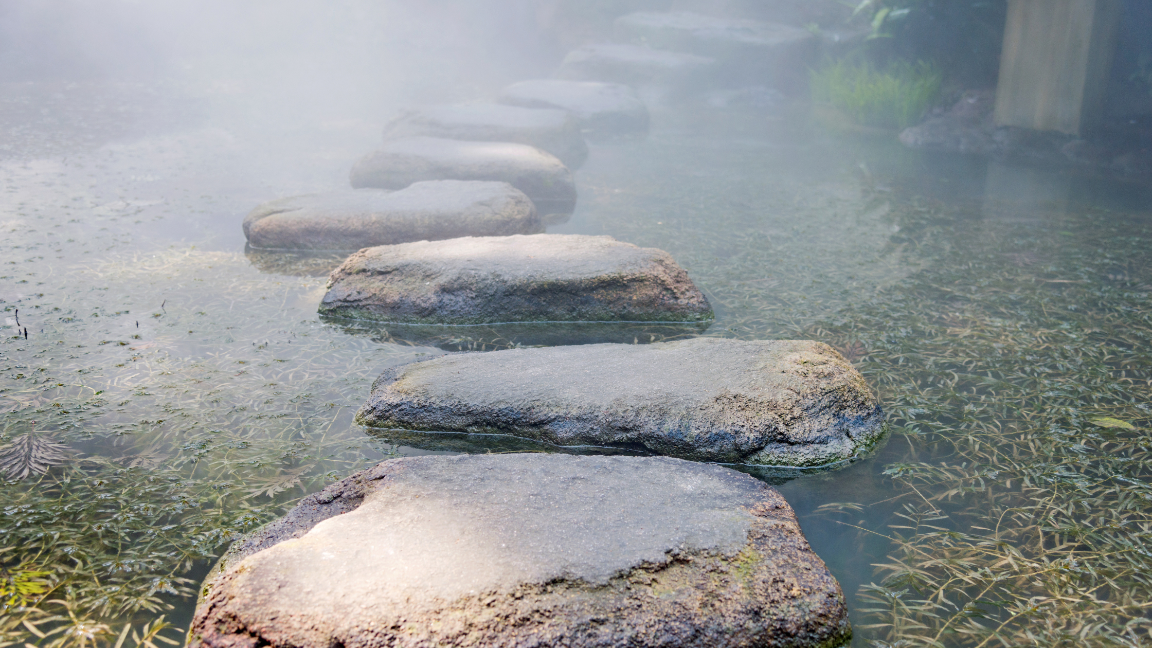 Professional therapy practice environment promoting healing and growth